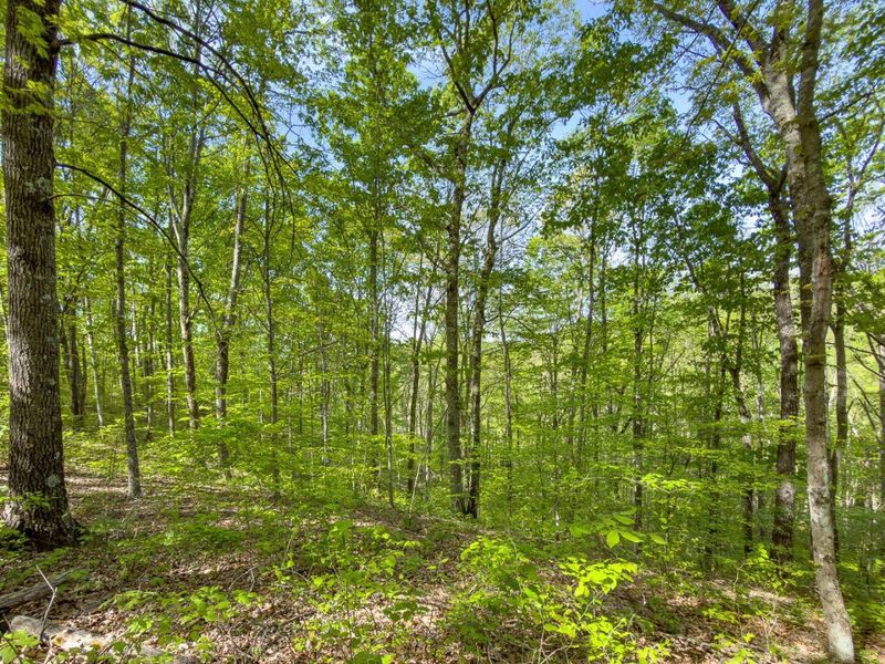 Parcel 2 Perry Ridge Road , Wilkesville, OH 45695 Photo 23