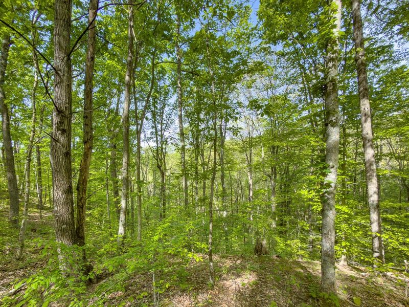 Parcel 2 Perry Ridge Road , Wilkesville, OH 45695 Photo 24