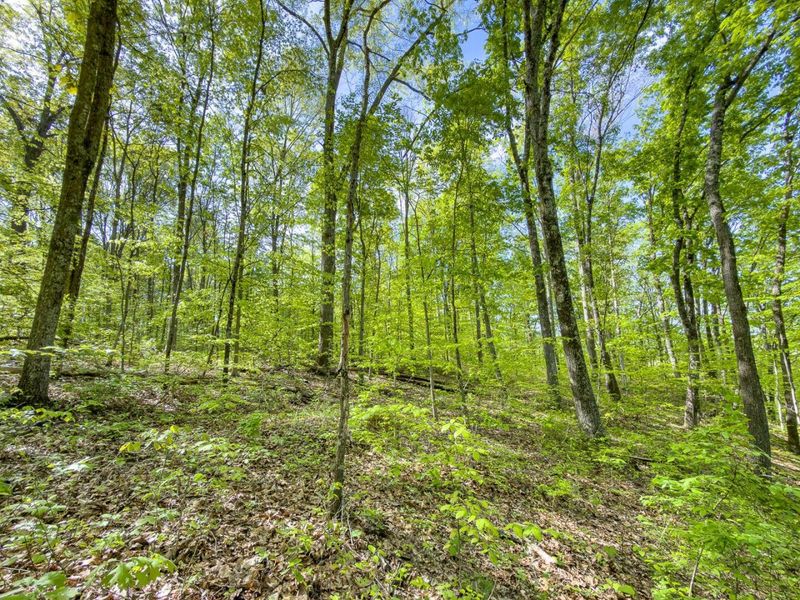 Parcel 2 Perry Ridge Road , Wilkesville, OH 45695 Photo 25