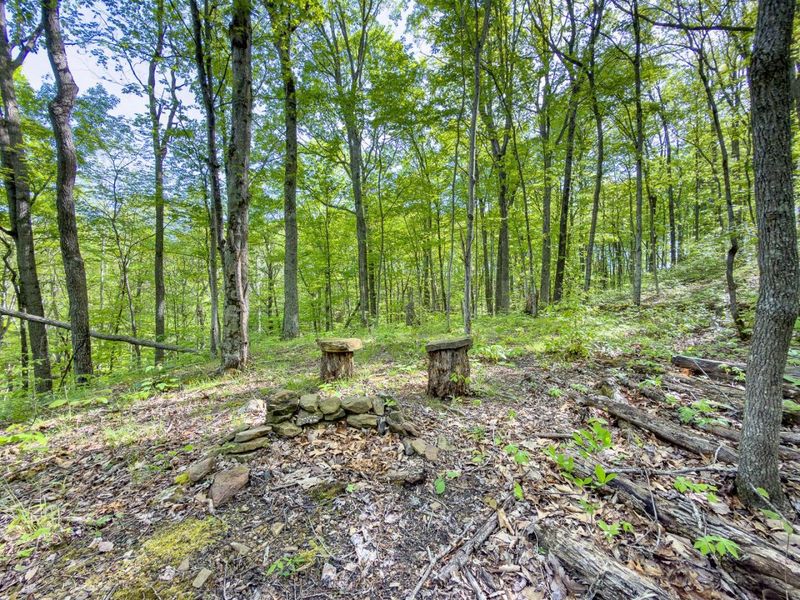 Parcel 2 Perry Ridge Road , Wilkesville, OH 45695 Photo 27