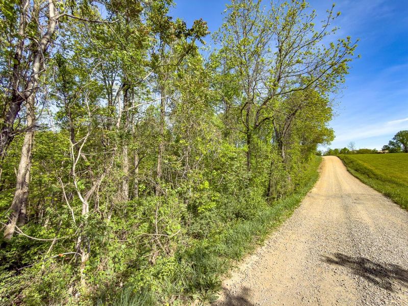 Parcel 2 Perry Ridge Road , Wilkesville, OH 45695 Photo 4