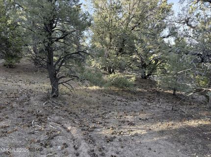 21695 Dortort Drive, Reno, NV 89521 Photo