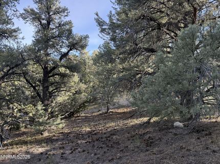 21695 Dortort Drive, Reno, NV 89521 Photo