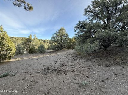 21695 Dortort Drive, Reno, NV 89521 Photo