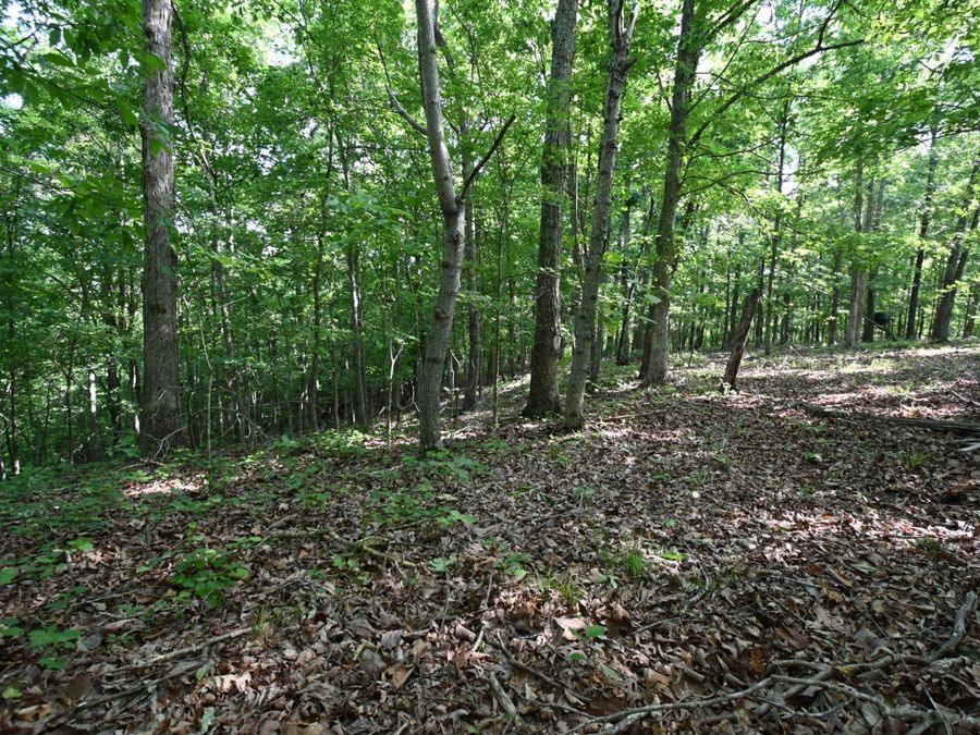 Property Image 18