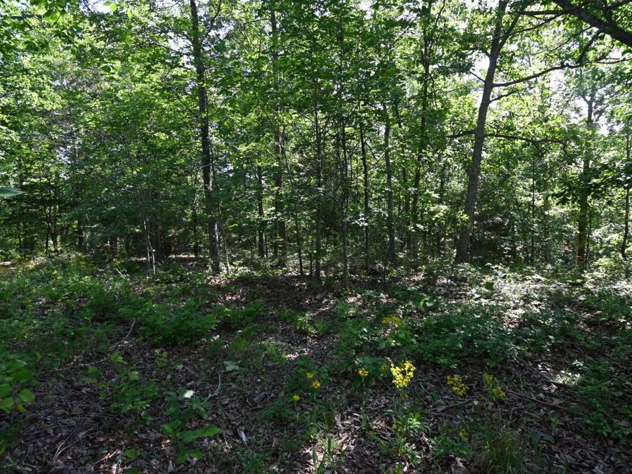 Property Image 21