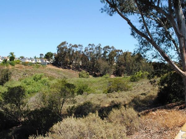 6116 Calle Mariselda, Unit 304, San Diego, CA 92124