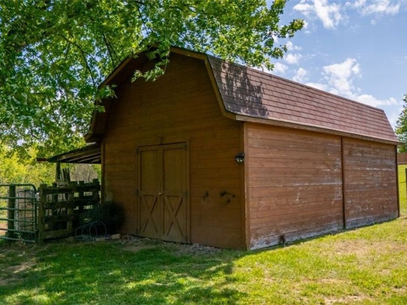 61229 Crozier Ridge Road, Bellaire, OH 43906 Photo 29