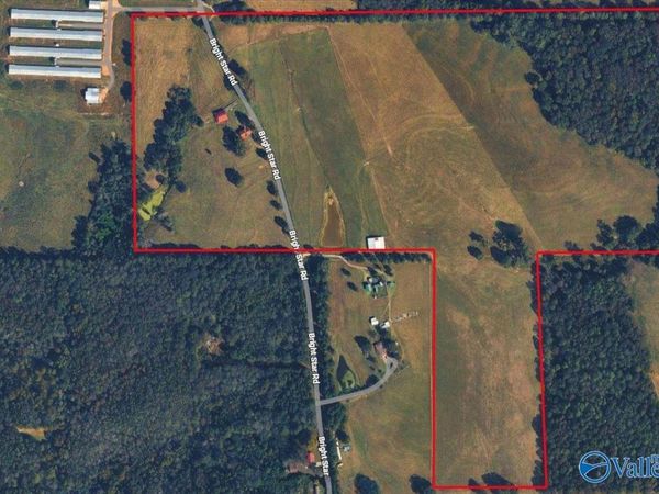 695 Bright Star Road, Horton, AL 35980