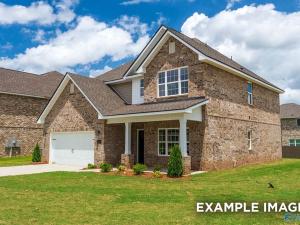 119 Cotita Drive, Toney, AL 35773