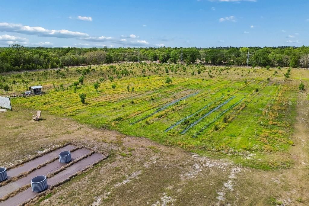 14320 Family Trail , Hudson, FL 34669 Photo