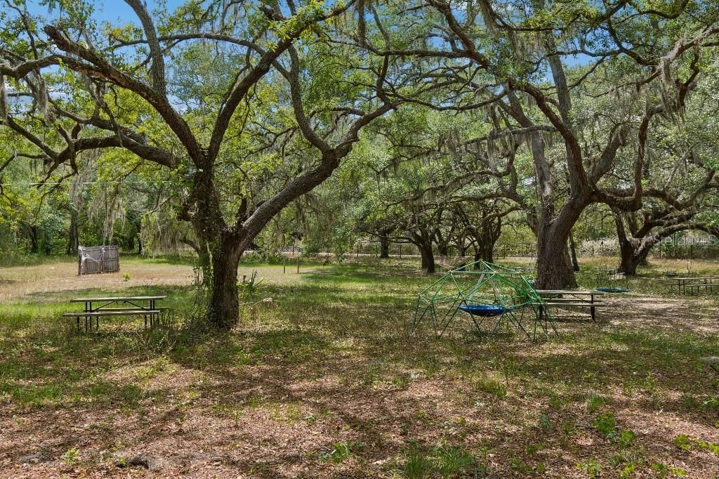 14320 Family Trail , Hudson, FL 34669 Photo