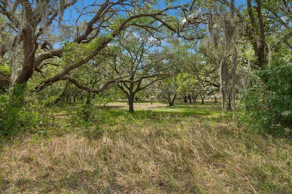 14320 Family Trail , Hudson, FL 34669 Photo