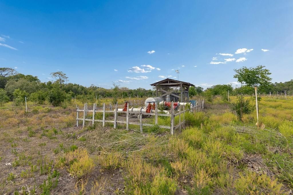 14320 Family Trail , Hudson, FL 34669 Photo