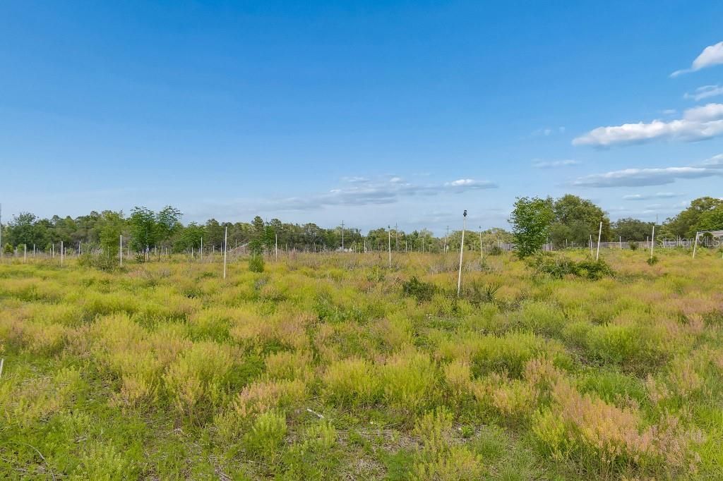 14320 Family Trail , Hudson, FL 34669 Photo