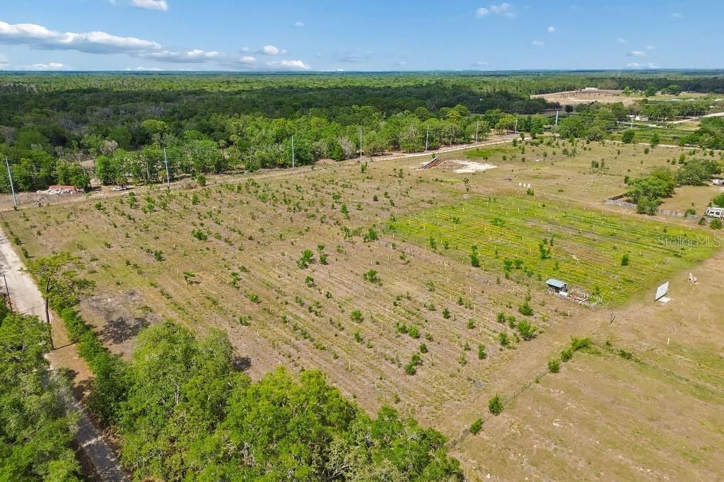 14320 Family Trail , Hudson, FL 34669 Photo