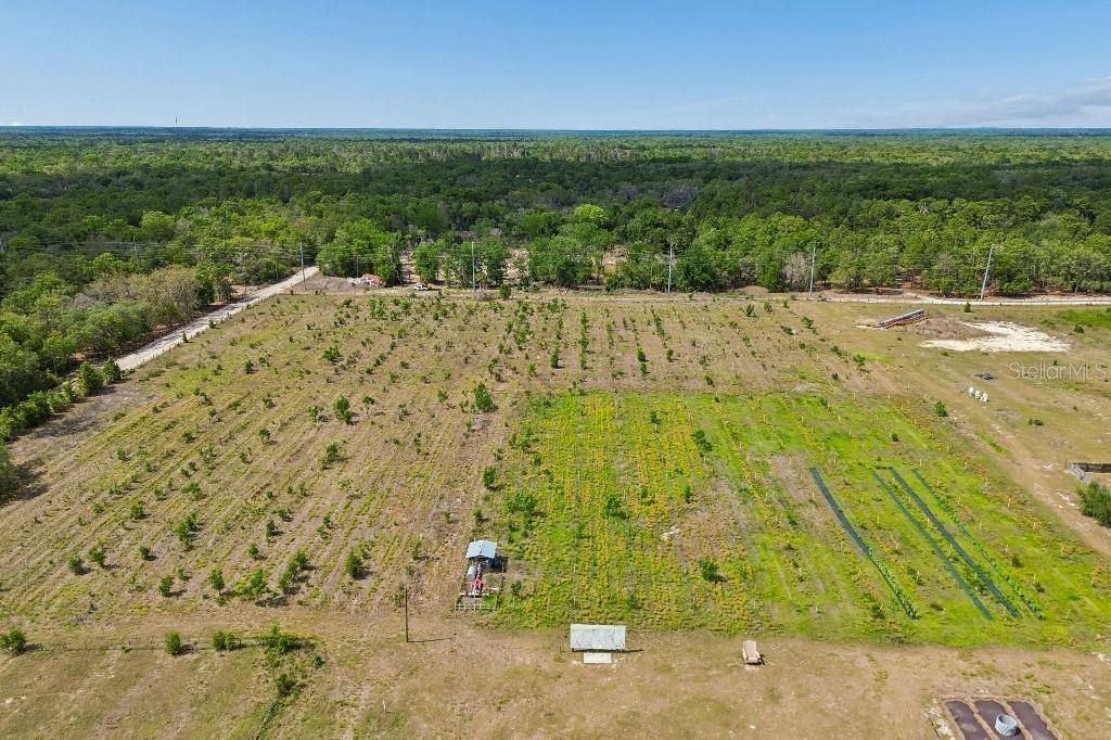 14320 Family Trail , Hudson, FL 34669 Photo