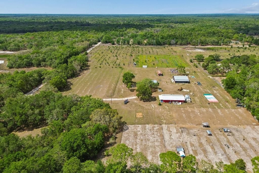 14320 Family Trail , Hudson, FL 34669 Photo