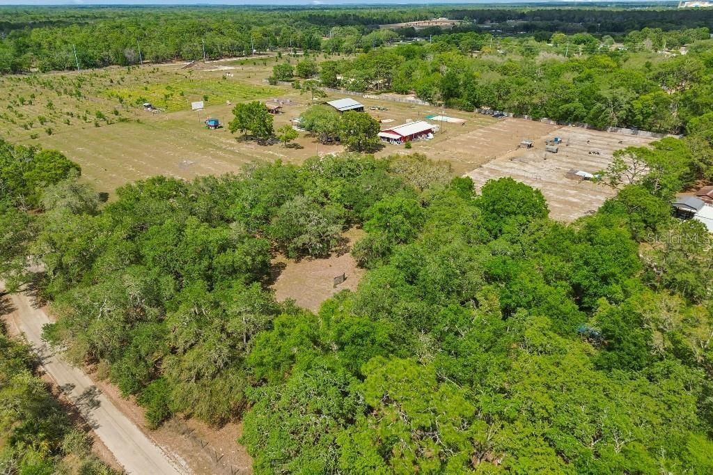 14320 Family Trail , Hudson, FL 34669 Photo