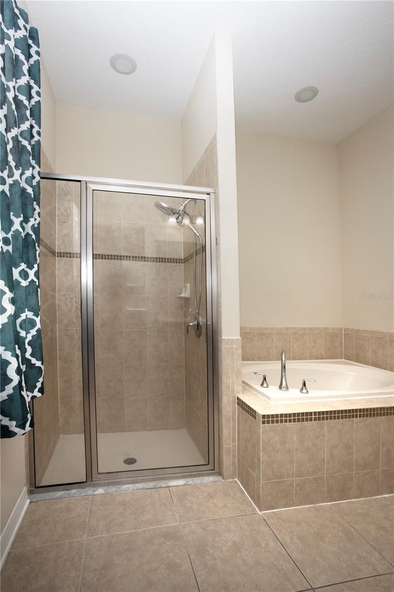 1319 Rowantree Drive , Dover, FL 33527 Photo