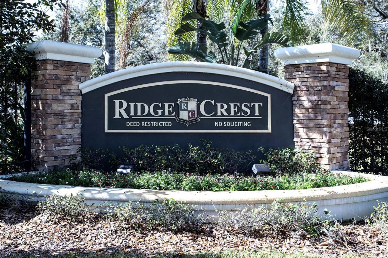 1319 Rowantree Drive , Dover, FL 33527 Photo
