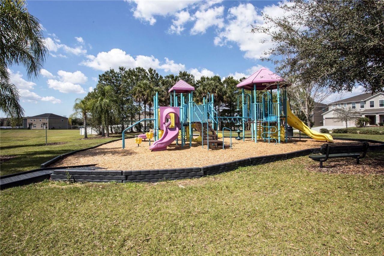1319 Rowantree Drive , Dover, FL 33527 Photo