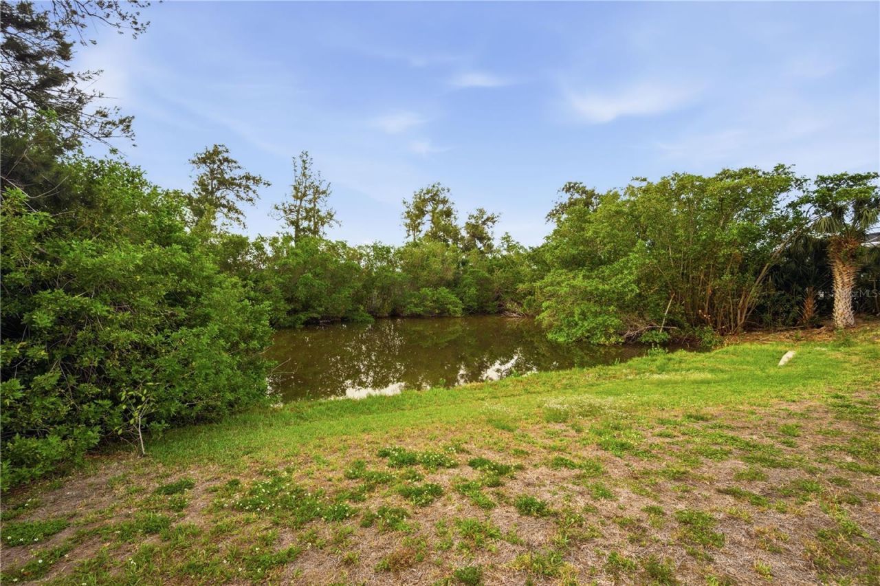 718 Bunker View Drive , Apollo Beach, FL 33572 Photo