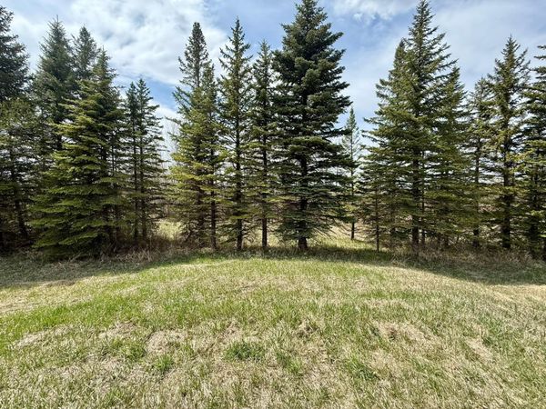 16025 245th Avenue, Glenwood, MN 56334