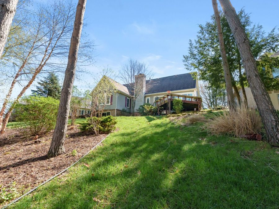 Property Image 44