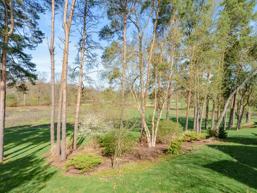 Property Image 56