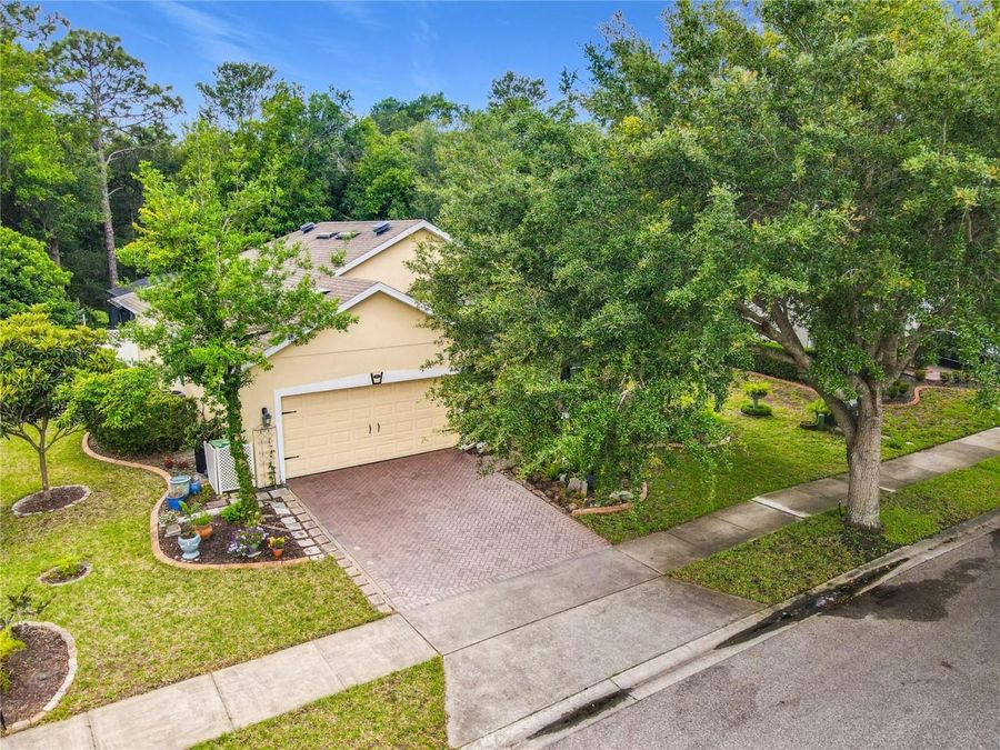 Property Image 62