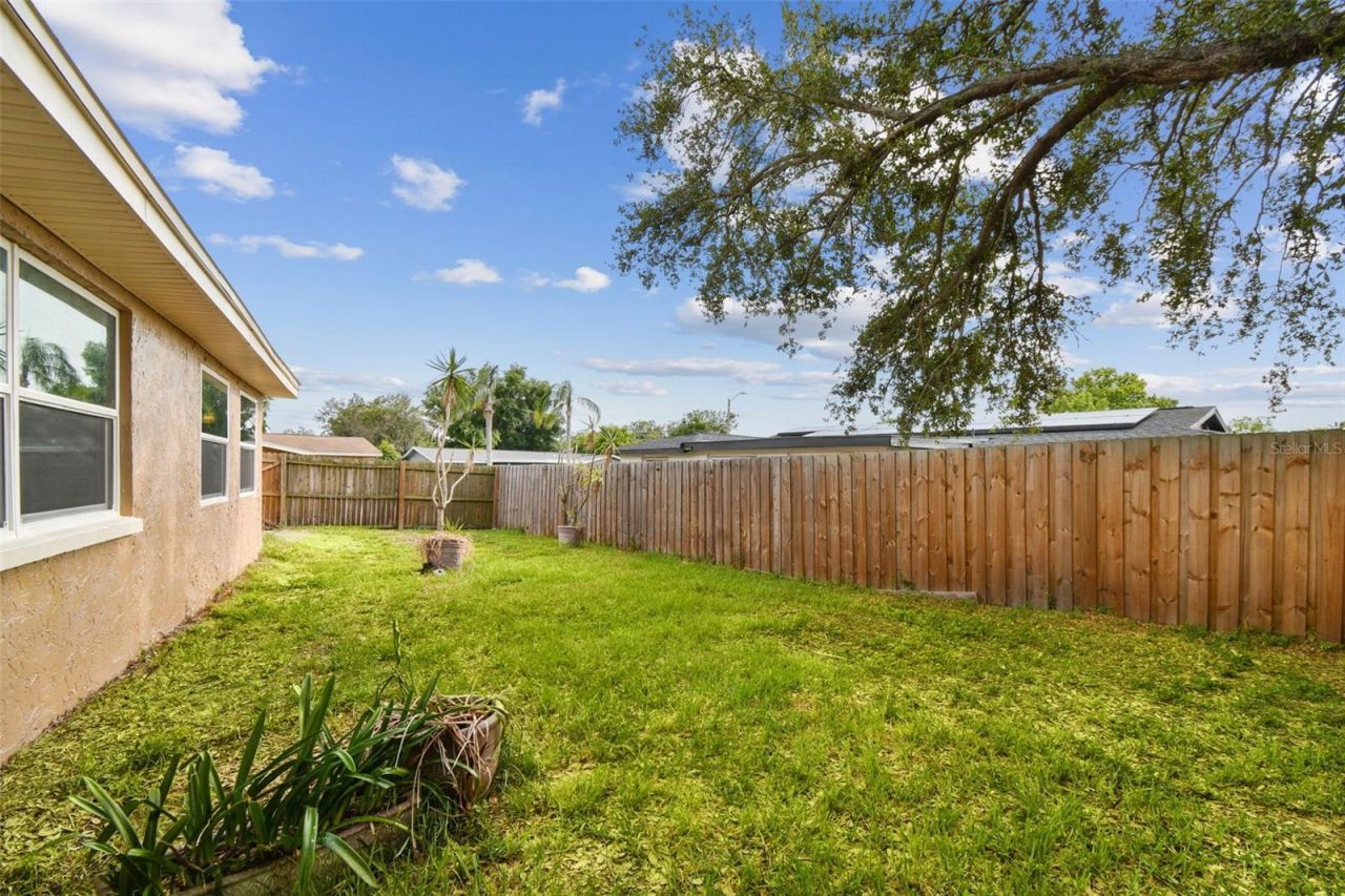 4541 Daphne Street , New Port Richey, FL 34652 Photo