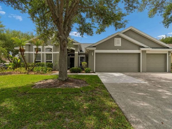 10243 SHADOW BRANCH DRIVE , TAMPA, FL 33647