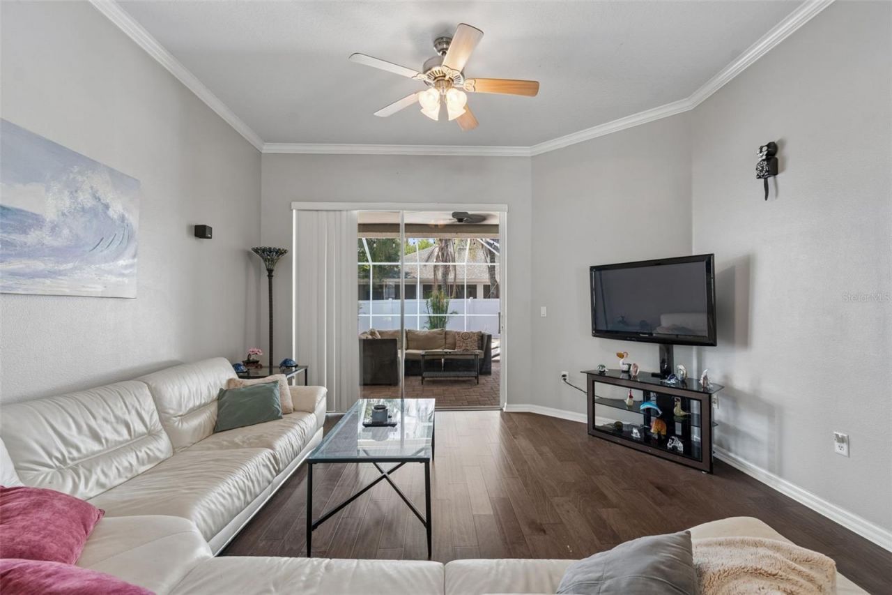 10243 Shadow Branch Drive, Tampa, FL 33647 Photo