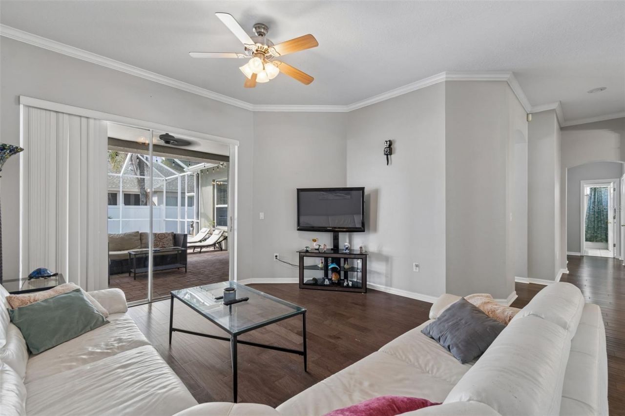 10243 Shadow Branch Drive, Tampa, FL 33647 Photo
