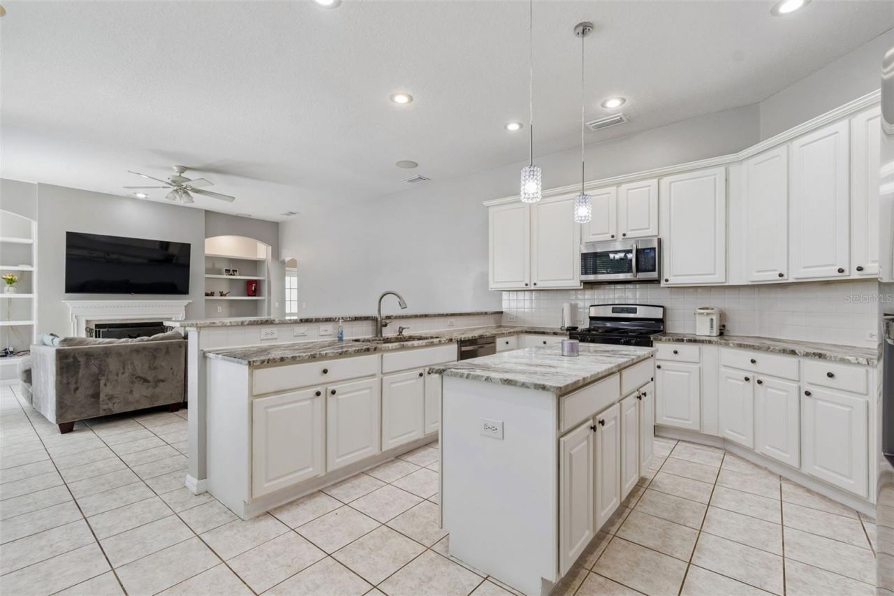 10243 Shadow Branch Drive, Tampa, FL 33647 Photo