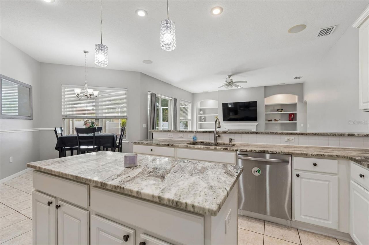 10243 Shadow Branch Drive, Tampa, FL 33647 Photo