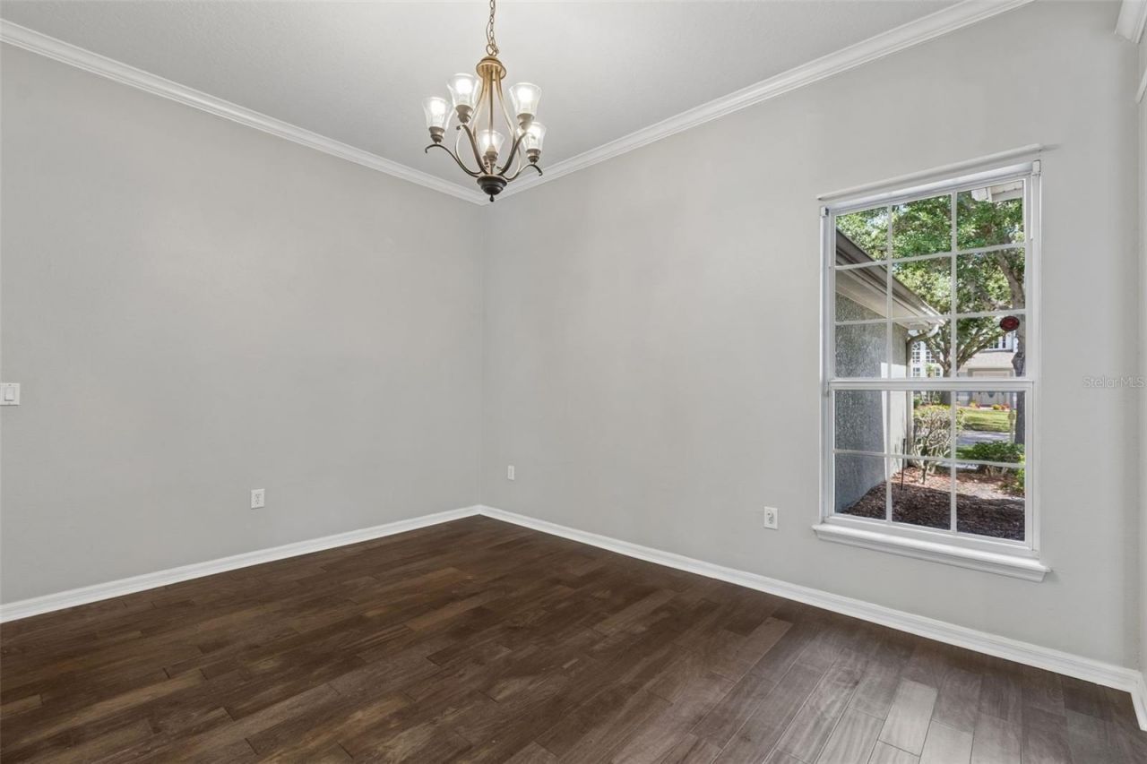 10243 Shadow Branch Drive, Tampa, FL 33647 Photo