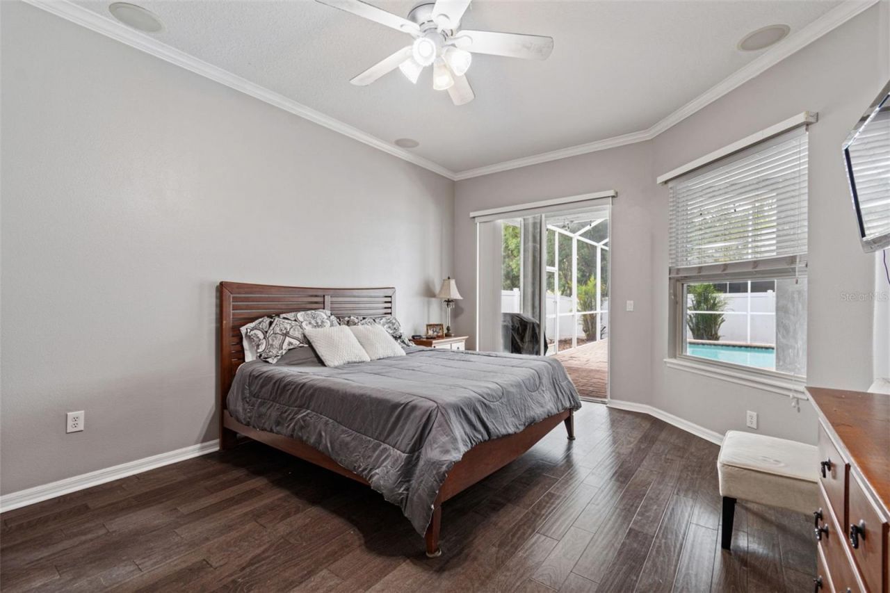 10243 Shadow Branch Drive, Tampa, FL 33647 Photo