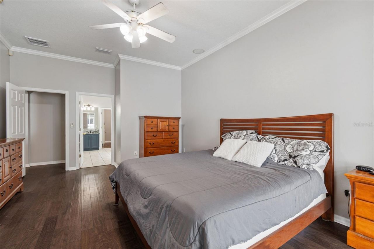 10243 Shadow Branch Drive, Tampa, FL 33647 Photo
