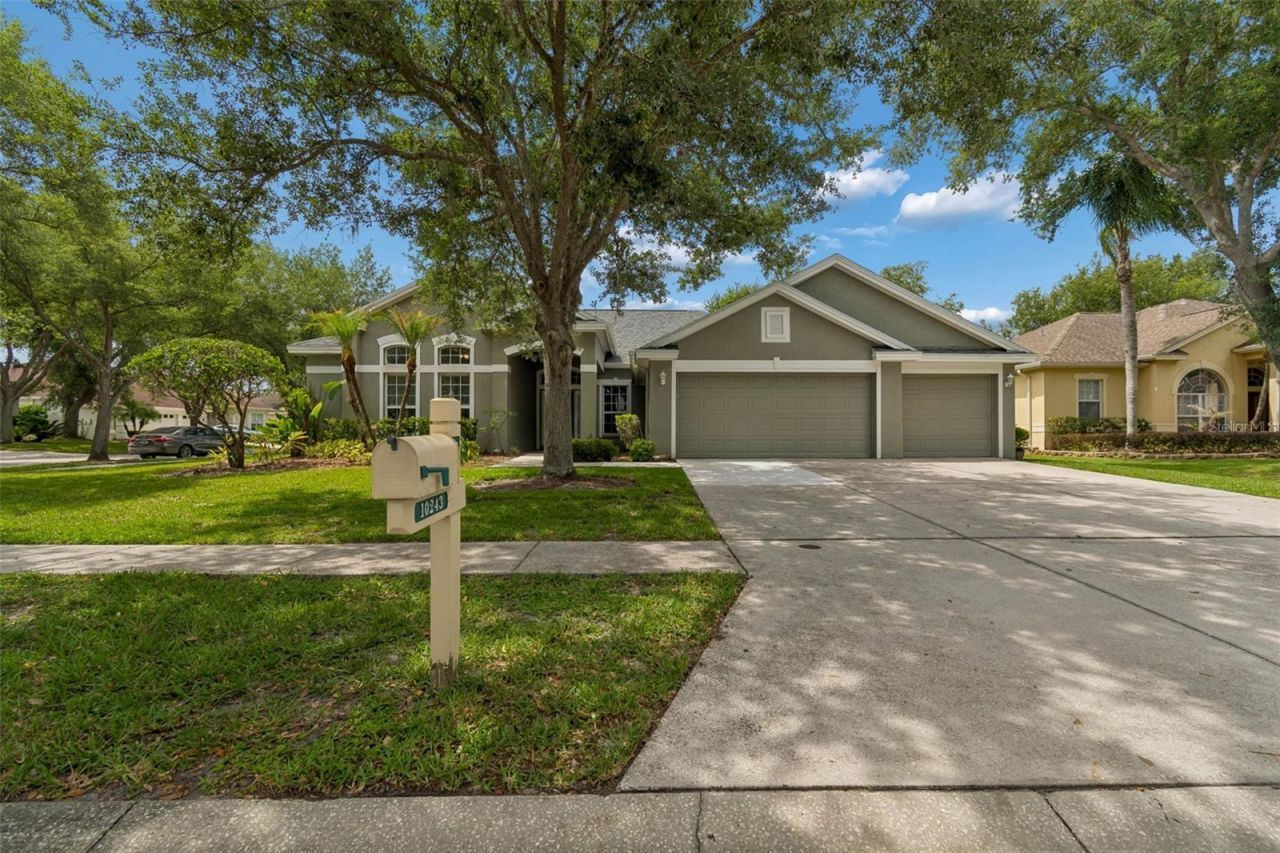 10243 Shadow Branch Drive, Tampa, FL 33647 Photo