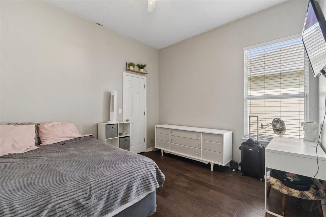 10243 Shadow Branch Drive, Tampa, FL 33647 Photo