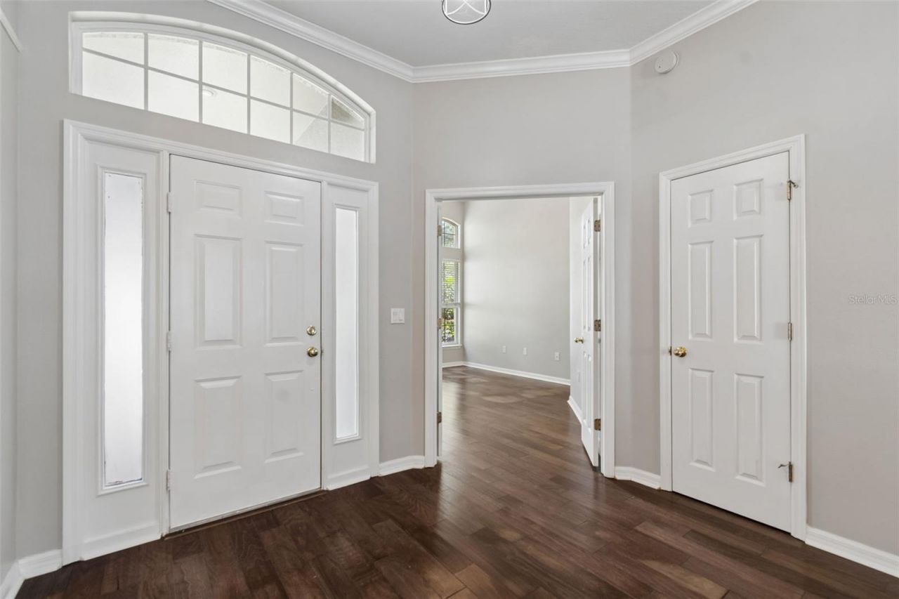 10243 Shadow Branch Drive, Tampa, FL 33647 Photo