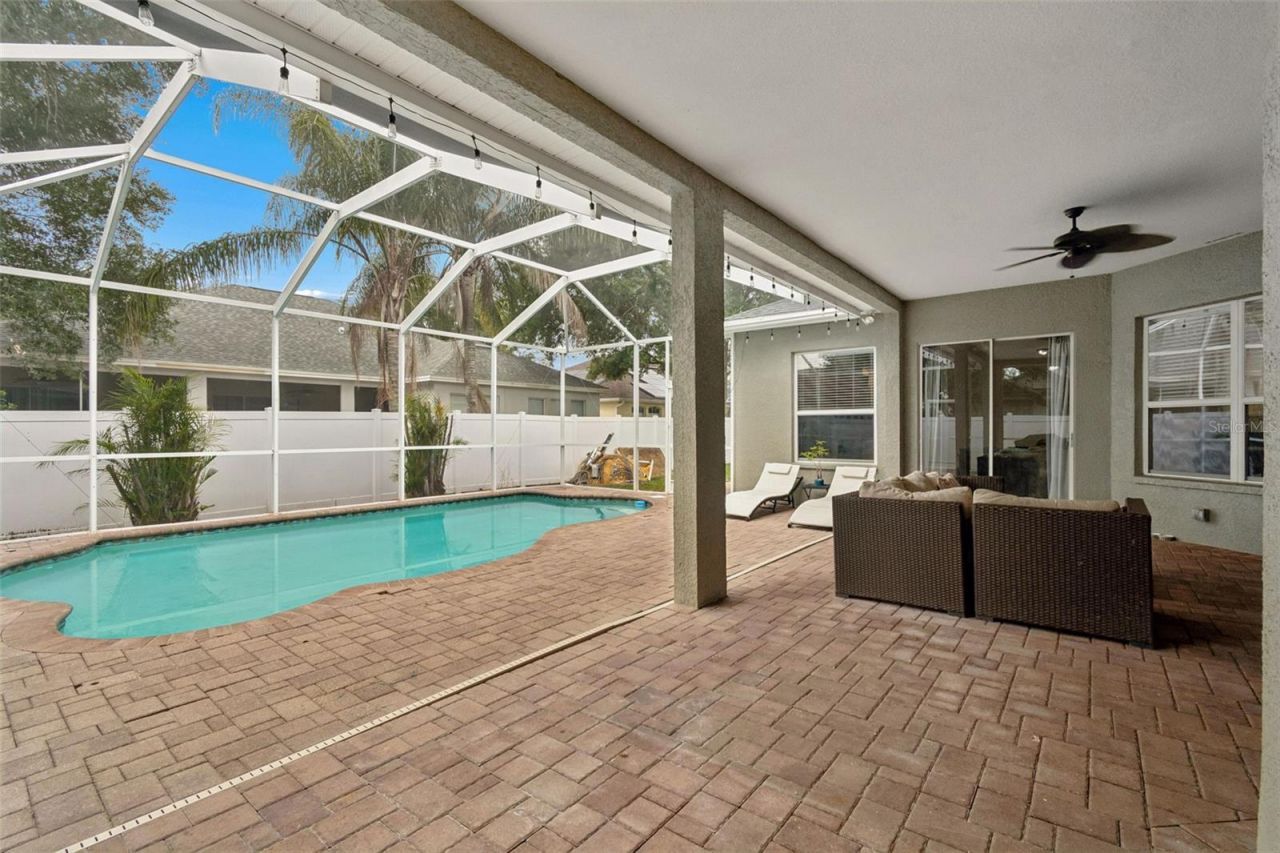 10243 Shadow Branch Drive, Tampa, FL 33647 Photo