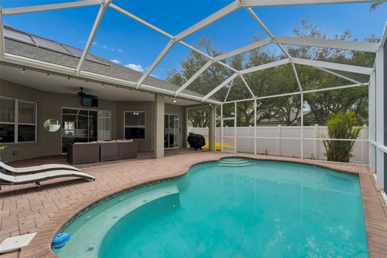 10243 Shadow Branch Drive, Tampa, FL 33647 Photo