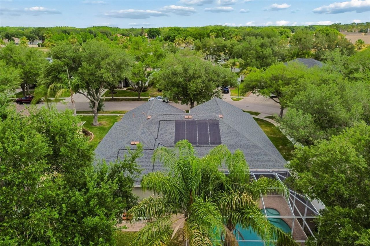10243 Shadow Branch Drive, Tampa, FL 33647 Photo