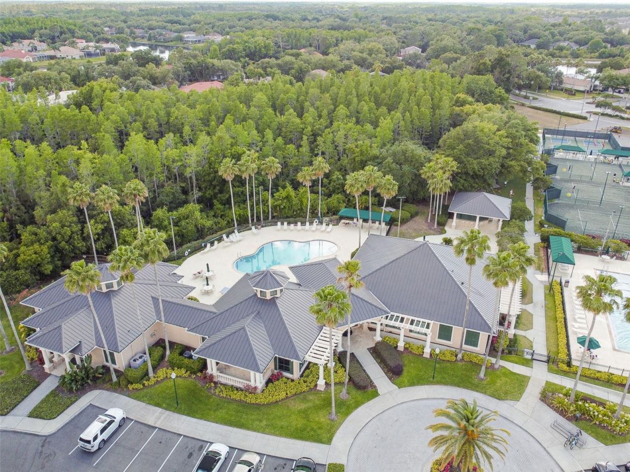 10243 Shadow Branch Drive, Tampa, FL 33647 Photo