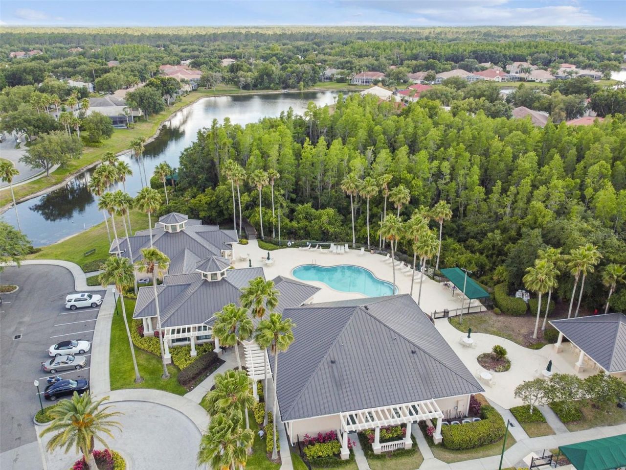 10243 Shadow Branch Drive, Tampa, FL 33647 Photo