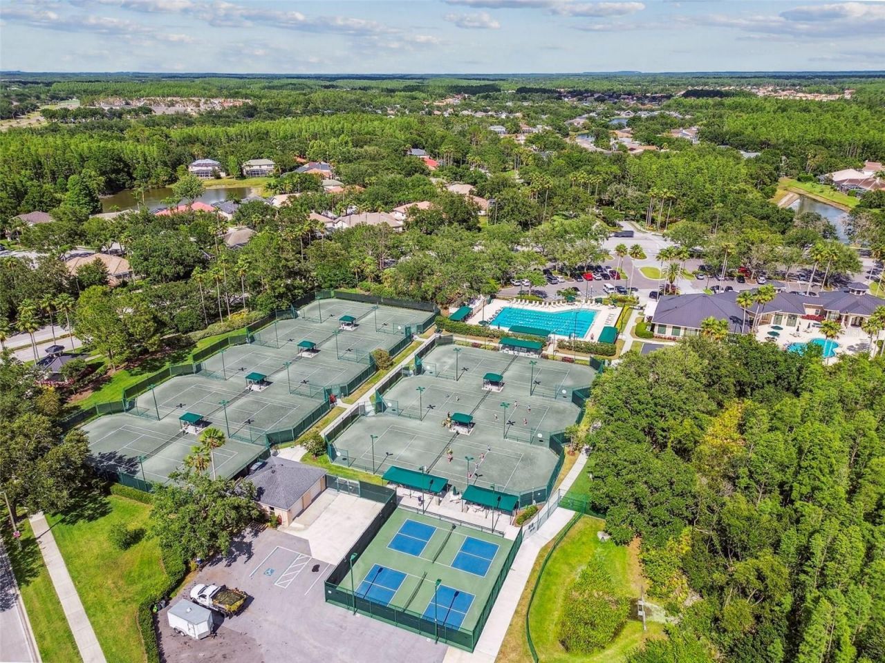 10243 Shadow Branch Drive, Tampa, FL 33647 Photo