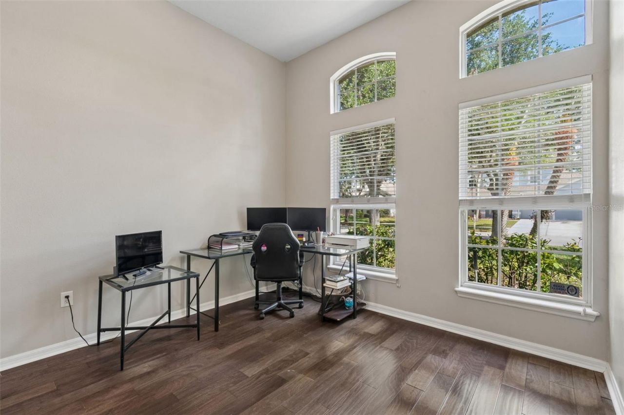 10243 Shadow Branch Drive, Tampa, FL 33647 Photo